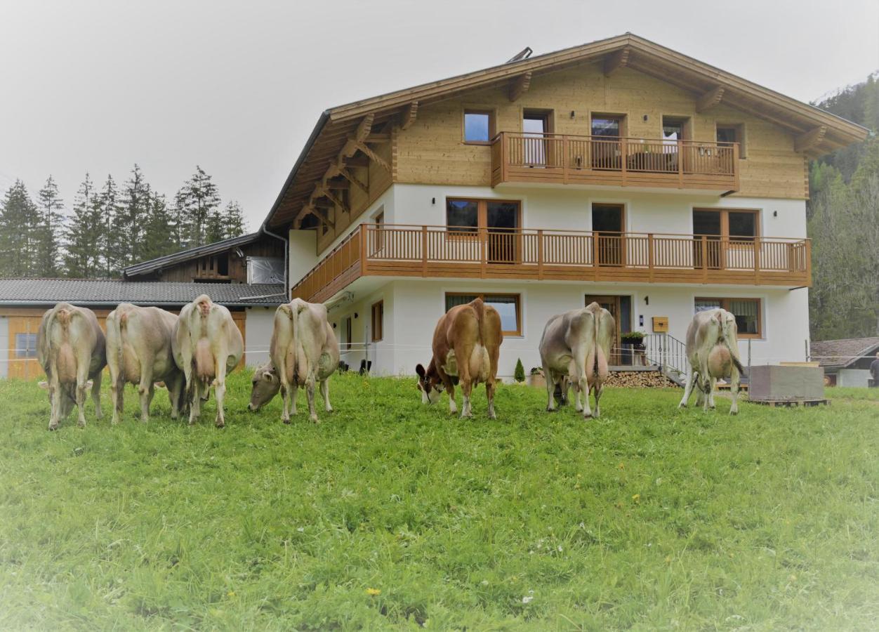 Lechtal-Pur-Aparts Apartment Holzgau Exterior photo